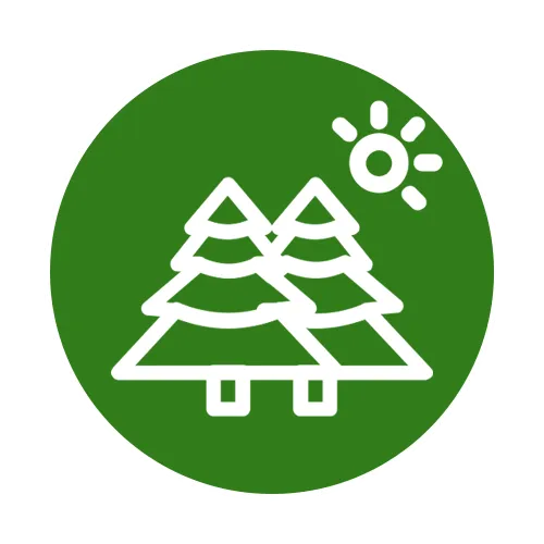 category icon