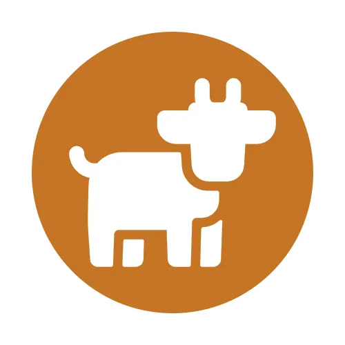 category icon