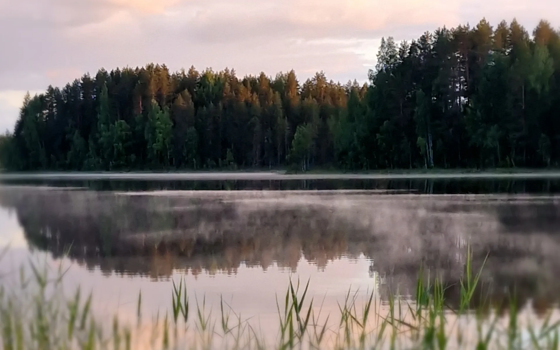 kansikuva-12